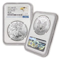 1 oz American Silver Eagle Coin MS-70 P288