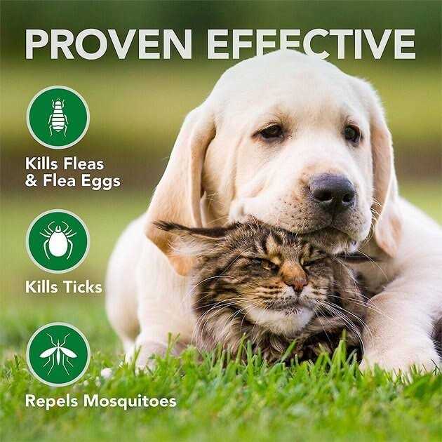 Flea and Tick Wipes for Dogs and Cats X6544