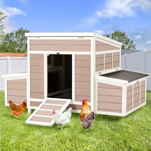 56" Large Wooden Chicken Coop with 6 Nesting Boxes R26789
