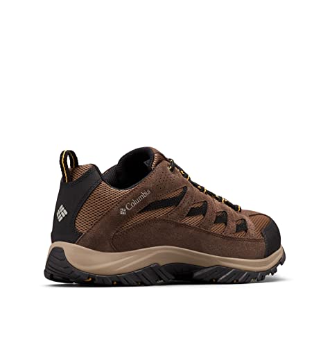 Men's Hiking Shoe R348851