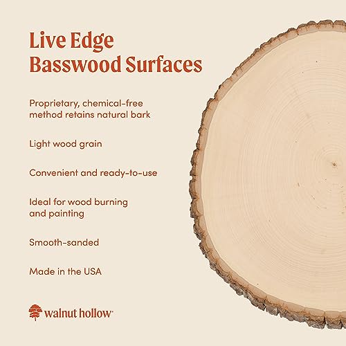 Extra Large 12-14" Wide Live Edge Wood Round (Pack of 6) Y837175