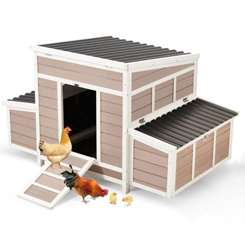 56" Large Wooden Chicken Coop with 6 Nesting Boxes R26789
