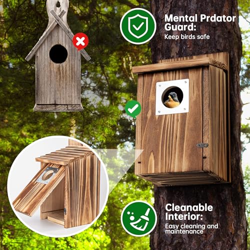 2 Pack Carbonized Wooden Bird Houses with Metal Predator Guard Y783