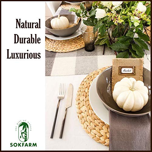 Set of 10 Round Water Hyacinth Wicker Placemats N51230