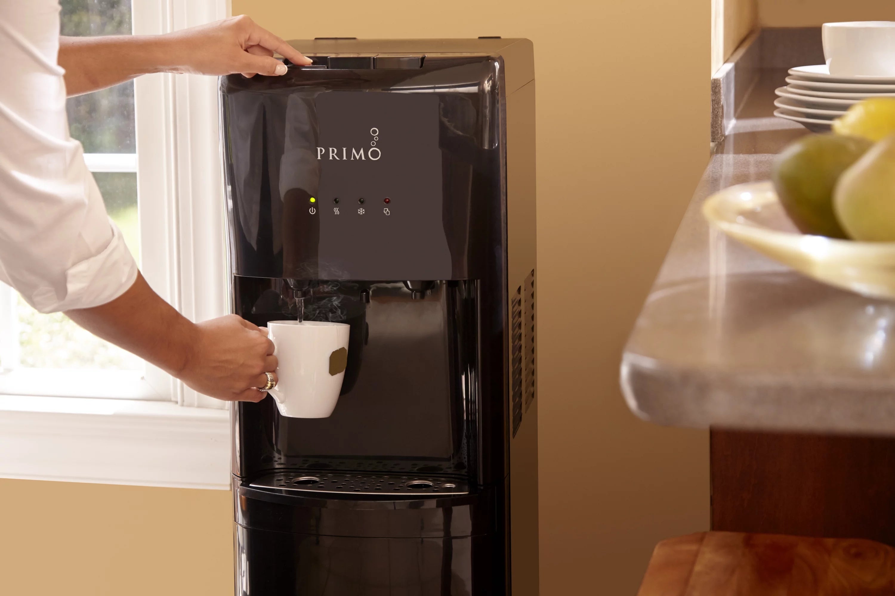Black Bottom Loading Hot Cold Water Dispenser L1081