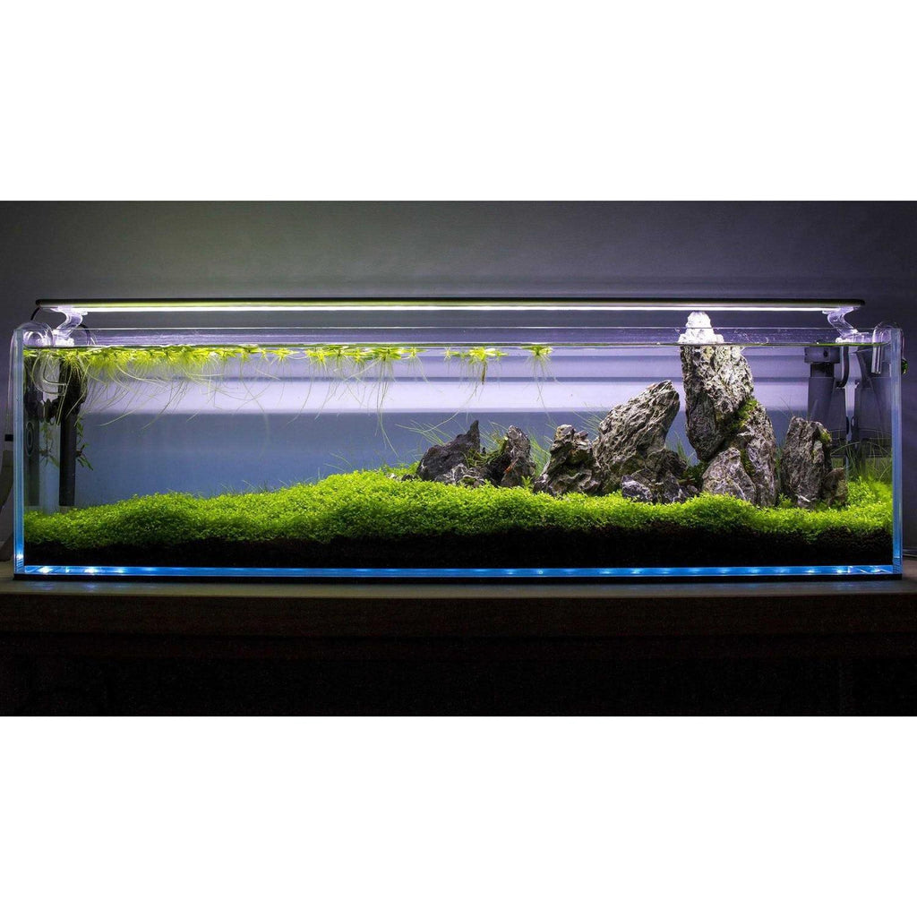 High Clarity Bookshelf Style Aquarium J257