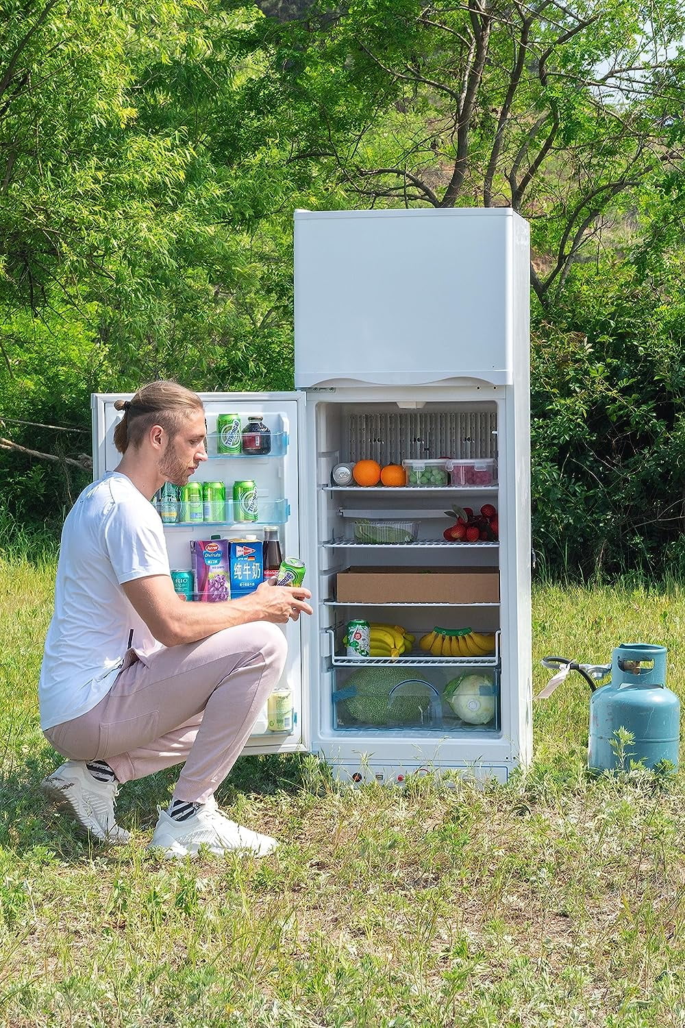 Propane Refrigerator Top Freezer Y5395