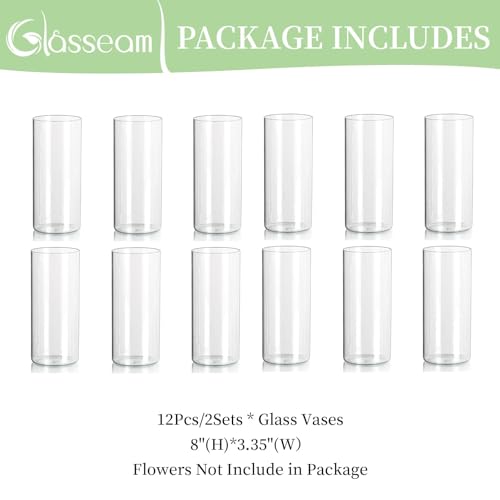 Glass Cylinder Vases Set of 12, Clear Flower Vase, 6in L219518