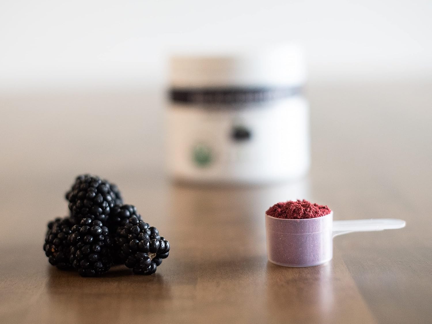 Organic Blackberry Powder O840