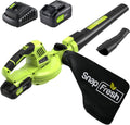 20V Cordless Leaf Blower with 4.0Ah Battery and Charger X21834