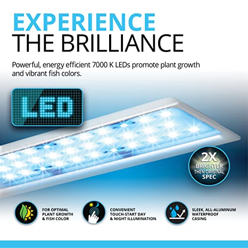 Freshwater Aquarium Kit with LED Lighting and 3-Stage Filtration V59672