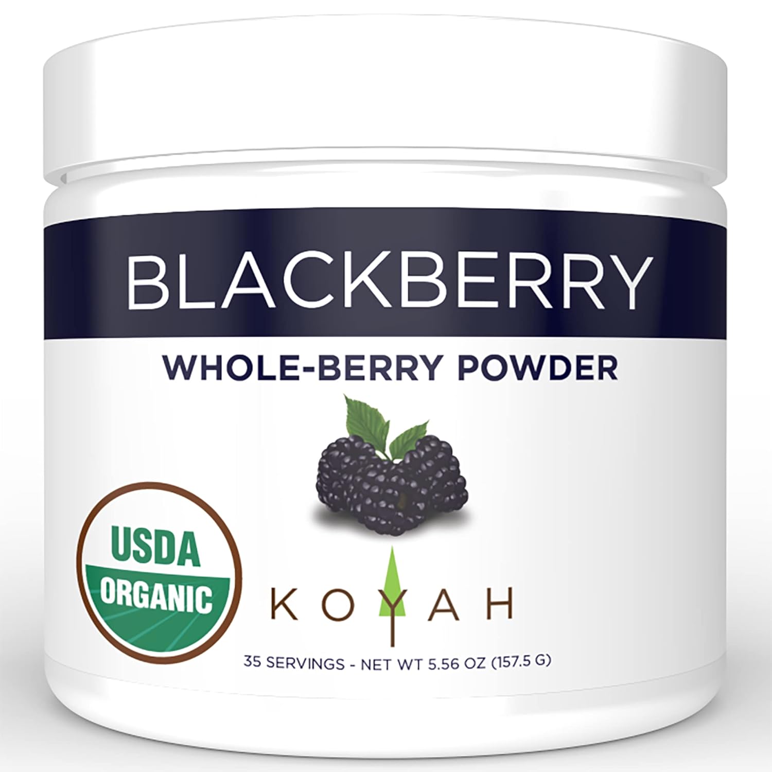 Organic Blackberry Powder O840
