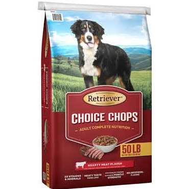Adult Beef Recipe Dry Dog Food W98687