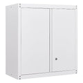 Metal Wall Cabinet with Doors and Adjustable Shelf U17725