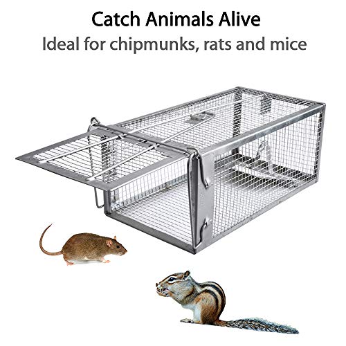 Humane Live Chipmunk Rat Mouse Cage Trap M81903
