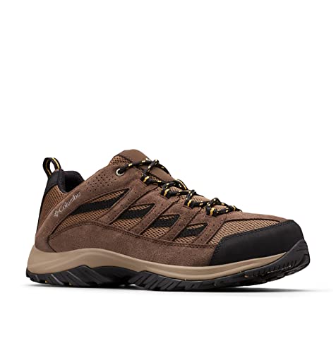 Men's Hiking Shoe R348851