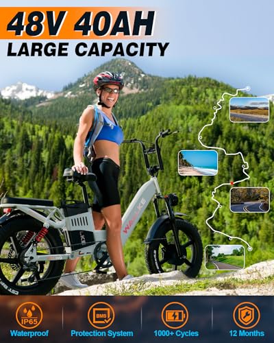 20 Inch Fat Tire Full Suspension Electric Bike C676545