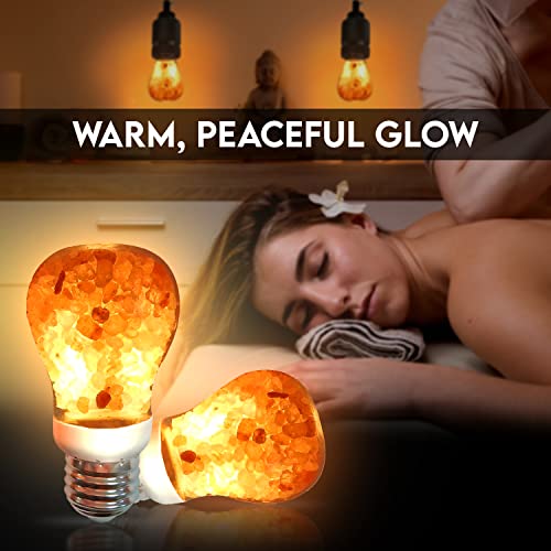4 Count Warm Amber LED Light Bulb P6392