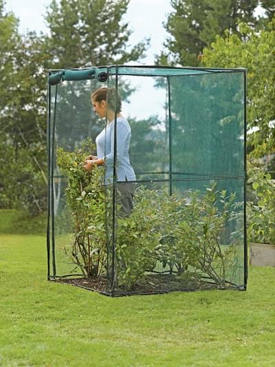 Crop Cage, 4 x 4 Plant Protection Tent Z2750