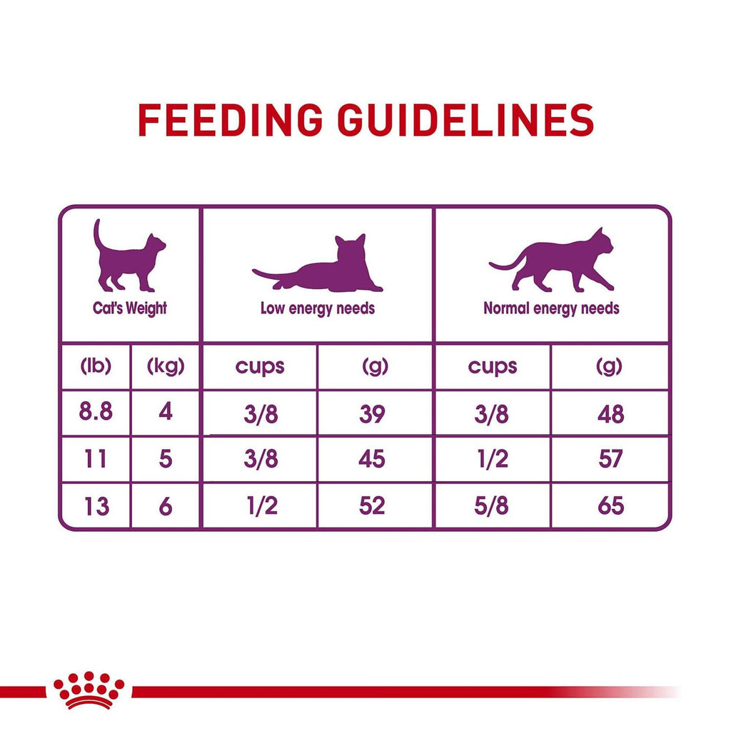 Special 33 Cat Dry Food Y461